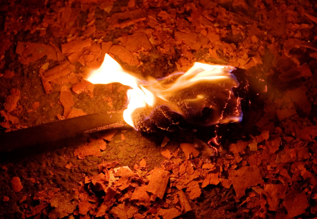TTORCH